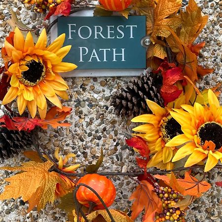 Forest Path Ballynahinch Exterior foto