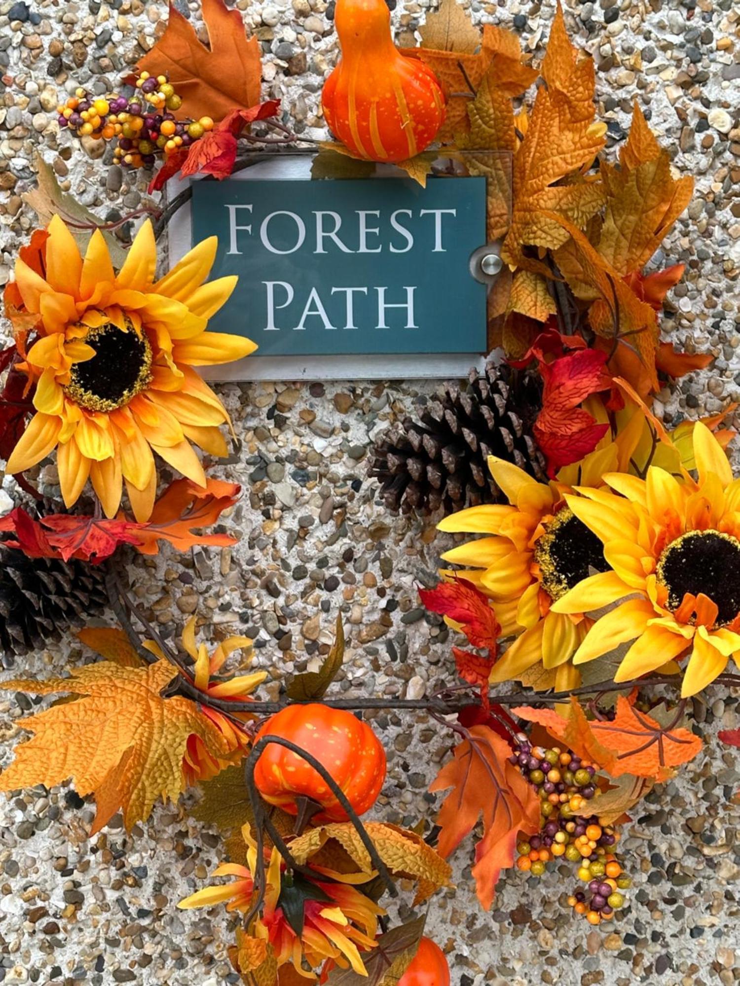 Forest Path Ballynahinch Exterior foto
