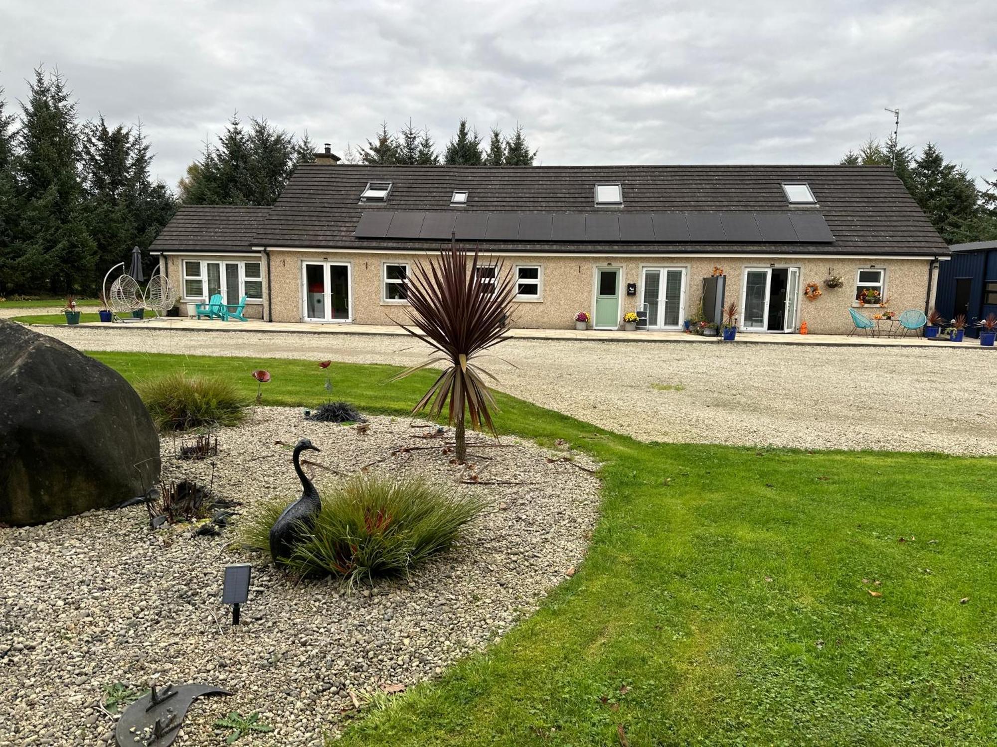 Forest Path Ballynahinch Exterior foto