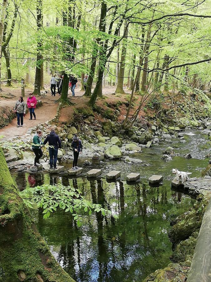 Forest Path Ballynahinch Exterior foto