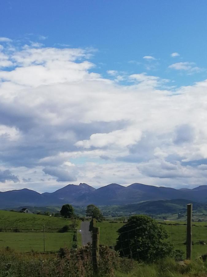 Forest Path Ballynahinch Exterior foto